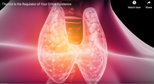 Your Thyroid Is the Regulator of Your Entire Existence